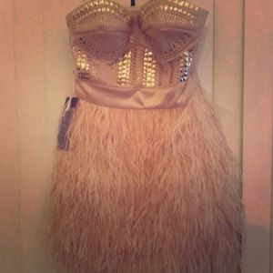 Fun Dress with Feather Skirt. Never Worn